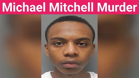 Aug 4, 2020 · Michael Mitchell Jr., 18, allegedly confessed to killing Michael Robinson Jr., 23, and implicated Cameron Powe in the crime. Powe was later cleared by LSP and the district attorney's office. 
